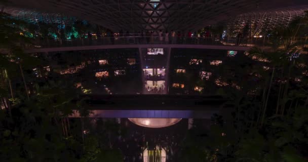 Agosto 2022 Aeropuerto Singapur Changi Vista Del Timelapse Cascada Cubierta — Vídeos de Stock