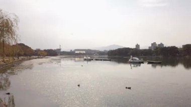 Japonya, Hakata, Fukuoka 'daki Ohori halk parkındaki göl gölünün doğal manzara manzarası. Sonbahar günü açık mavi gökyüzü altında ve şehir yatay hat üzerinde.