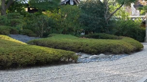Tradicional Japonês Musgo Pedras Parque Jardim Com Muitas Árvores Outono — Vídeo de Stock
