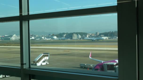 후쿠오카 햇빛을 받으며 아침에 공항에서 운행되는 비행기 — 비디오