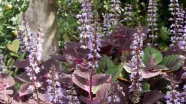 Hand touches the tops of fresh beautiful flower field  of large blooming of flowers Relax natural background tropical summer garden