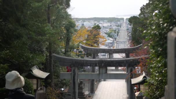 Noviembre 2022 Fukuoka Japón Vista Muchas Puertas Estilo Japonés Torii — Vídeo de stock