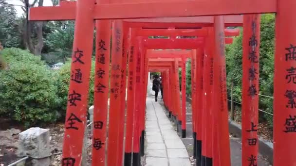 January 2020 Tokyo Japan Slowmotion View While Walking Many Torii — Stock Video