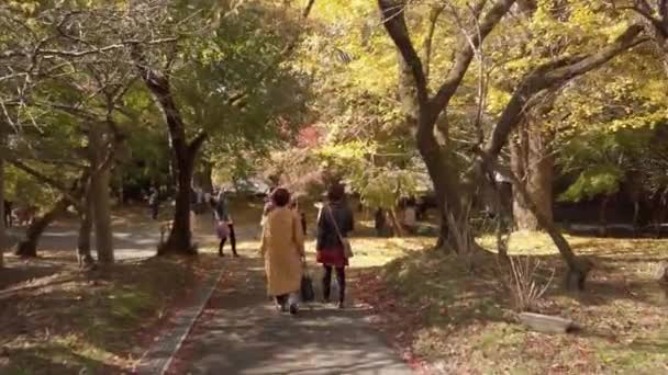 November 2022 Fukuoka Japan View Many Tourists While Relaxing Japanese — Stock video