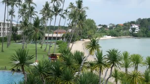 緑の芝生の熱帯ビーチの白い砂の上にヤシの木と海岸風景 ターコイズブルーの海の上のパームバウンティ島の背景の海の自然プーケットビーチ — ストック動画
