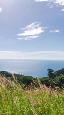 Tayland 'ın güneyinde güneşli bir günde deniz kıyısındaki uçurumun doğal doğal manzarası, Phuket, okyanus denizindeki dağ adası yaz tatili zamanı.