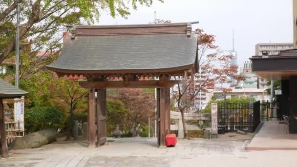 2022 Fukuoka Jepang Pemandangan Pemandangan Momijihachimangu Kuil Kota Fukuoka Musim — Stok Video
