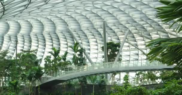 2008年8月23日新加坡长一国际机场玻璃圆顶下有许多热带树木的珠宝百货商店天桥的定影 — 图库视频影像