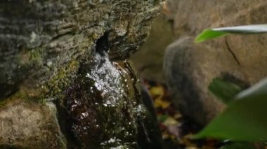 Kayadan akan suyla tut su gibi, Japon bahçesindeki doğal su gibi.