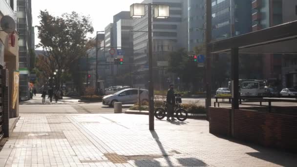 Noviembre 2022 Fukuoka Japón Vista Calle Con Coches Tráfico Personas — Vídeos de Stock