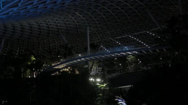 August 2022 Singapore Changi Airport View Indoor Bridge Indoor Tropical — Stock Video