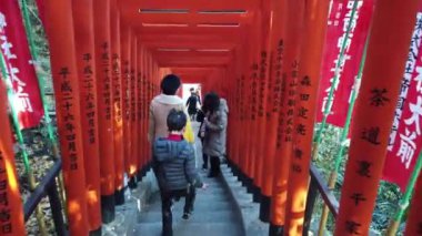 1.2020 Ocak. Tokyo, Japonya. Budist tapınağındaki birçok Torii kırmızı giriş kapısı altında yürürken görülüyor.