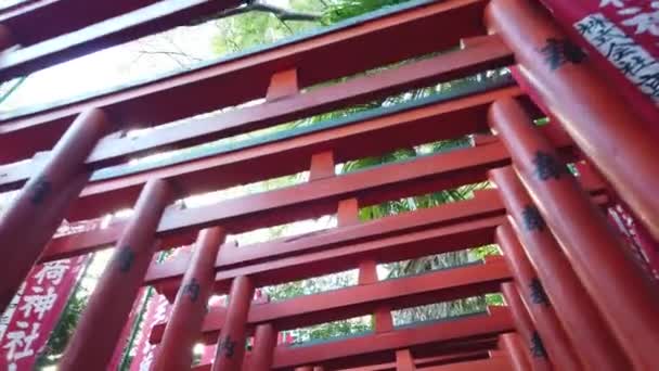 January 2020 Tokyo Japan Slowmotion View While Walking Many Torii — Stock Video
