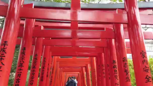 2020 Tokyo Japan See Walking Many Torii Red Entrance Gate — 비디오