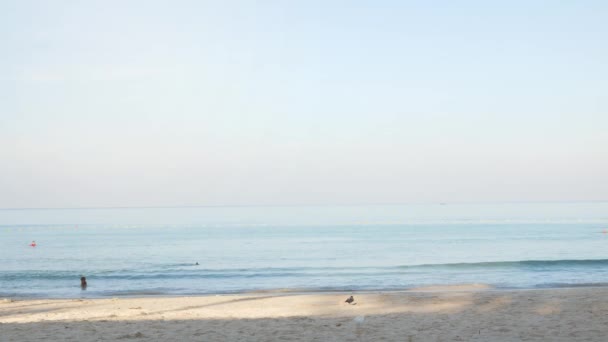 早朝に青い空と白い雲の背景を持つ美しい熱帯の白い砂浜 夏休みと自然環境背景コンセプト — ストック動画