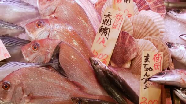 新鮮な日本の魚が氷の上に寝そべっている 生の美しいシーフード装飾された魚のディスプレイと魚市場 多くの小さな新鮮な魚 — ストック動画