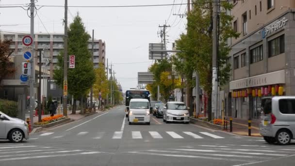 広告看板や看板を持つ近代的な建物の中で 福岡の昼間のInfujisakiエリアの間に車や人々の交通 日本のストリートビュー — ストック動画