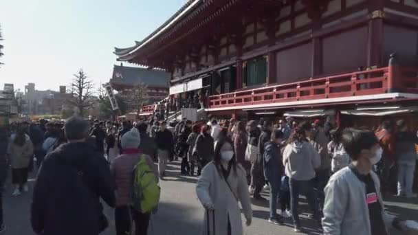 Enero 2020 Tokio Japón Vista Del Paisaje Templo Asakusa Sensoji — Vídeos de Stock