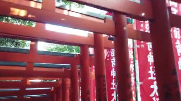 January 2020 Tokyo Japan View While Walking Many Torii Red — Stock Video