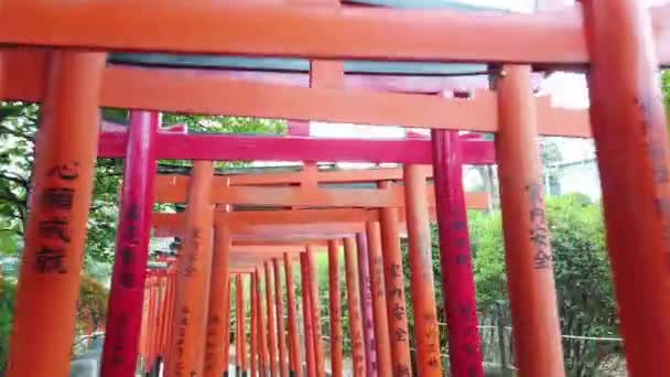 年1月1日20时20分在日本东京佛教神殿的许多红门下散步时可以看到 — 图库视频影像