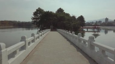 Sonbahar günü Fukuoka, Hakata 'daki Ohori Parkı' ndaki Ohori göleti üzerindeki Çam Ağacı Ormanı Adası 'na yürürken yavaş çekim görüntüsü