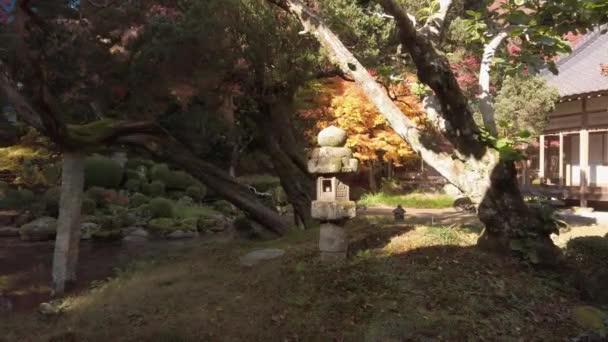 Noviembre 2022 Fukuoka Japón Jardín Verde Japonés Tradicional Corte Dentro — Vídeo de stock