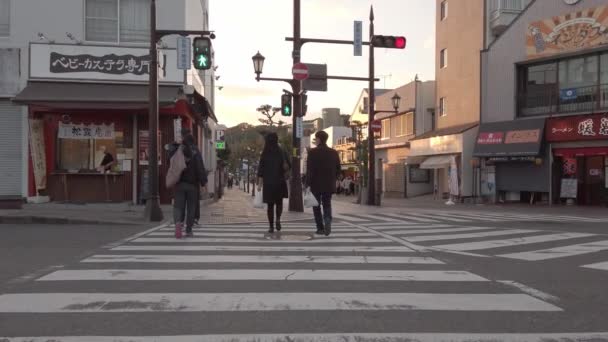 Kasım 2022 Fukuoka Japon Slowmotion Fukuoka Fukuoka Şehir Merkezindeki Cadde — Stok video