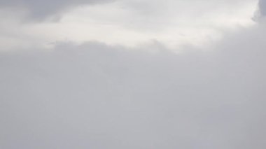 Güneşli bir günde bulutların üzerinde uçuşan beyaz kabarık bulutlu mavi gökyüzü sıcak havada yazın atmosferde hareket eden bulutlarla birlikte. yaz bulutları arka planı