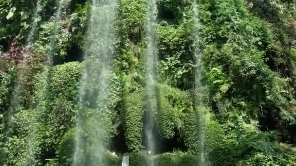 2023 Singapur Ansicht Der Natürlichen Landschaft Indoor Wasserfall Mit Regenwald — Stockvideo
