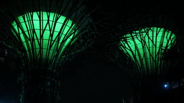 2008年8月23 22日新加坡 在新加坡湾著名的林林林总总的花园中 观赏带有灯光照明的超级树型现代建筑设计 — 图库视频影像