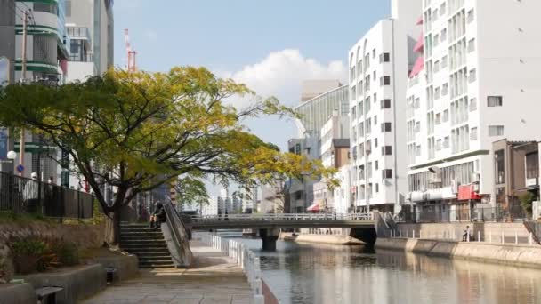 Kasım 2022 Fukuoka Japonya Gündüz Fukuoka Reklam Panoları Reklam Panoları — Stok video