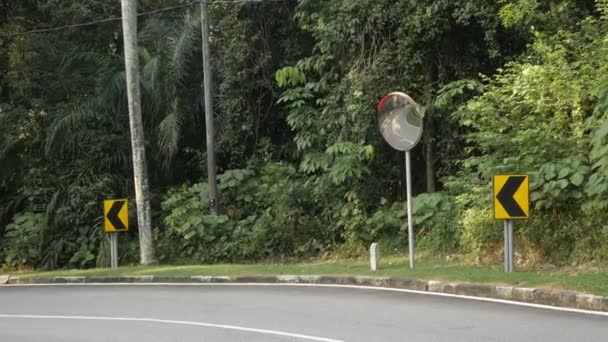 Natürliche Ansicht Der Lokalen Straße Freien Durch Den Tropischen Regenwald — Stockvideo