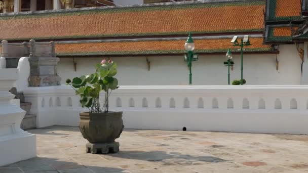 May15 2023 Bangkok Thailand View Beautiful Architecture Design Court Yard — Vídeo de Stock