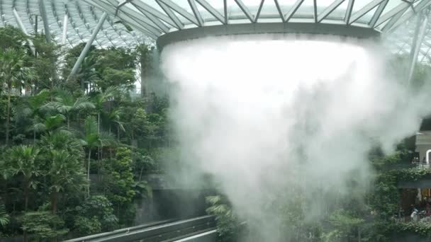 August2 2023 Singapore Changi Airport Widok Kryty Wodospad Wiru Podczas — Wideo stockowe