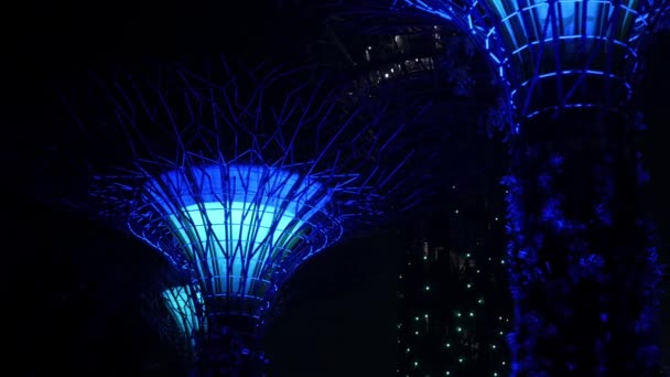 2022 Singapur View Superstrom Moderní Architektury Design Stromu Lehkým Osvětlením — Stock video