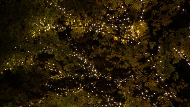 Vista Luz Festiva Até Iluminação Decoração Natal Celebração Ano Novo — Vídeo de Stock
