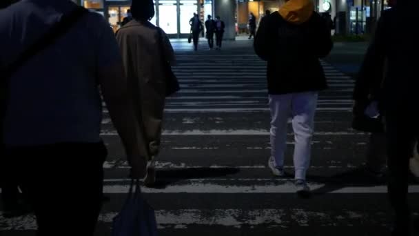 夜に街を横断する歩行者は道路を横断する人々と床に近い — ストック動画