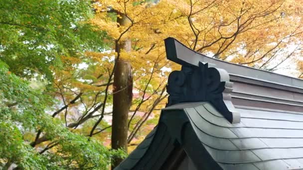 Techo Del Santuario Japonés Tradicional Con Hojas Arce Rojo Naranja — Vídeos de Stock