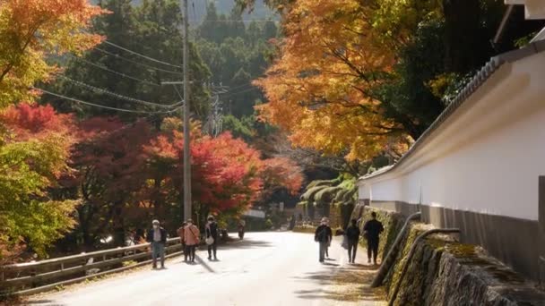 2022 Fukuoka Ιαπωνία Δρόμο Μπροστά Από Raizansennyoji Taihioin Ναό Ιερό — Αρχείο Βίντεο