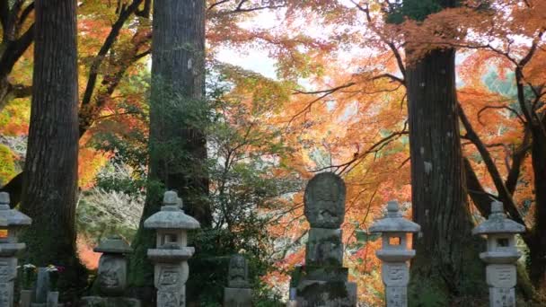Древняя Могила Японской Гробницы Среди Японских Кленовых Лесов Полным Красным — стоковое видео