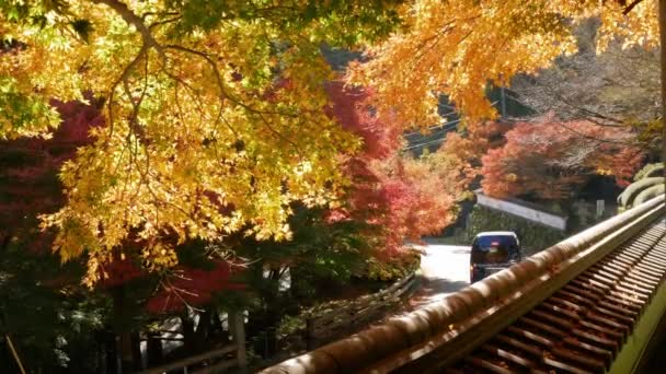 Novembre 2022 Fukuoka Japon Rue Infront Raizansennyoji Temple Taihioin Sanctuaire — Video