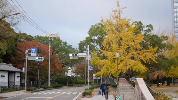 11月13 20222 福岡市の博多市の交通渋滞で街並みの景色を眺め 黄色が落ちる秋の紅葉を交通と歩行者とともに走行する — ストック動画
