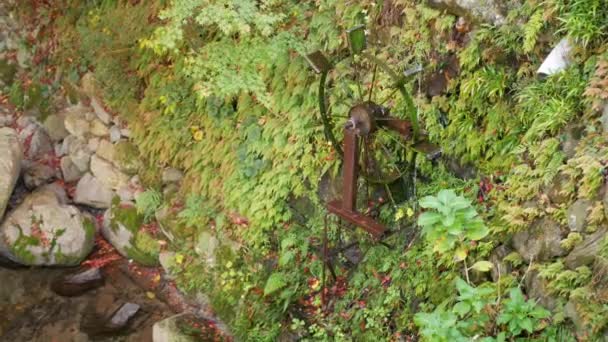 在夏日的阳光下 水轮机上流淌着水 绿树的背景生长在岩石的古城墙上 新鲜自然秋天的背景概念 — 图库视频影像