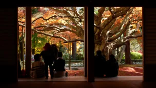 November 2022 Fukuoka Japan Interieur Uitzicht Raizansennyoji Taihioin Tempel Heiligdom — Stockvideo