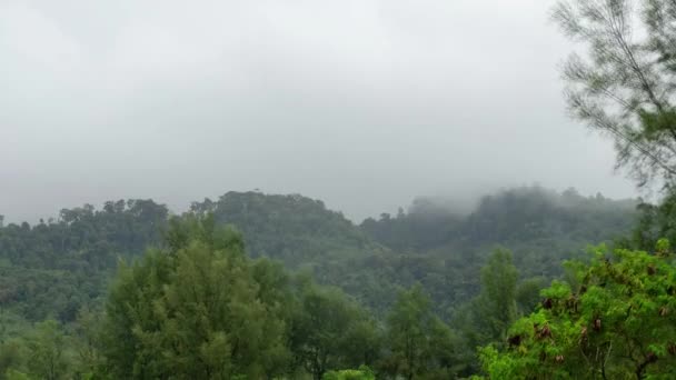 日没時の霧の湿気雲で山の範囲のタイムラプスビュー 霧の移動 自然な緑の背景のタイムラプス — ストック動画