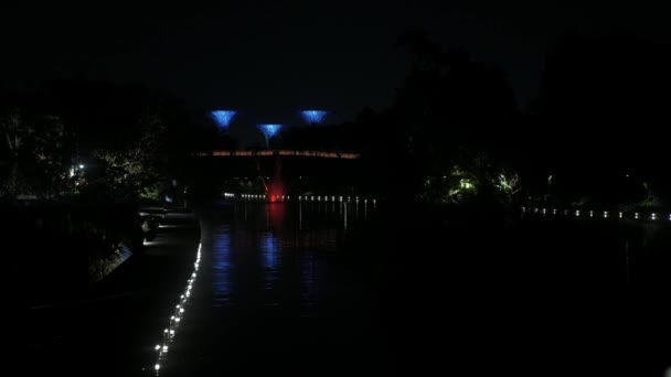 2008年8月23 22日新加坡 在新加坡湾著名的林林林总总的花园中 观赏带有灯光照明的超级树型现代建筑设计 — 图库视频影像