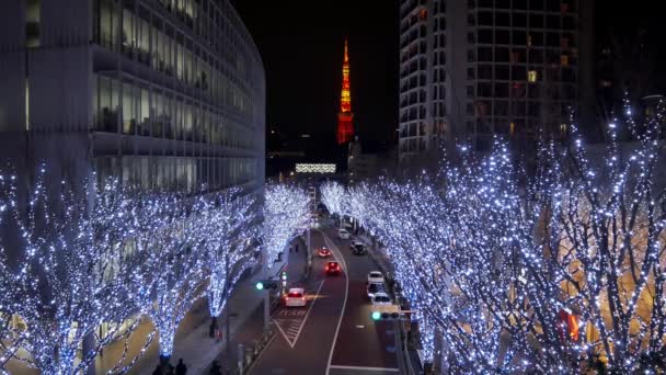 Декабря 2023 Tokyo Japan Light Illumination Trees Street Leads Tokyo — стоковое видео