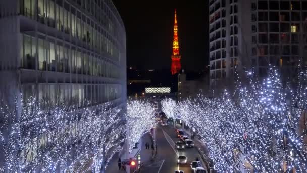 Decemer29 2023 Tokyo Japonya Sokak Boyunca Ağaçların Aydınlatılması Tokyo Kulesi — Stok video