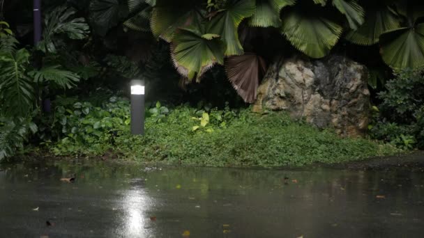 夏の豪雨の接近低角度ビューは 熱帯雨林の庭 熱帯東南アジアの気候 道路上の雨滴の間の経路のアスファルトの上の水たまりの水の雨のドロップに落ちる — ストック動画