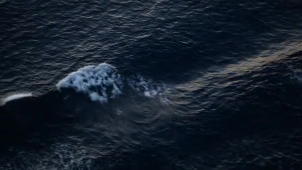Vista Para Ondas Ondulando Superfície Água Enquanto Navega Mar Ocea — Vídeo de Stock